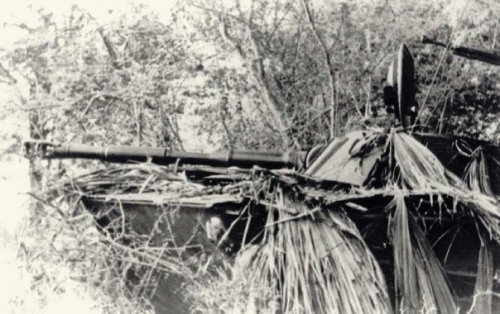 PT-76 dalam kamuflase