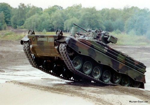 Marder in Action