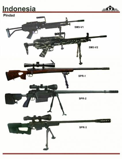 Beberapa produk senjata laras panjang buatan PT Pindad.